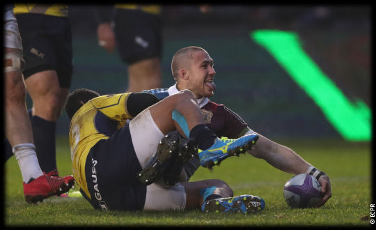 Harlequins Timisoara Saracens